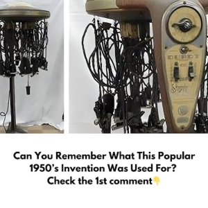 Can You Recall What This Is? If You’re Old Enough, You Might Recognize It. But Are You Aware of Its Intriguing History and Stories? Can You Recall What This Is? If You’re Old Enough, You Might Recognize It. But Are You Aware of Its Intriguing History and Stories?