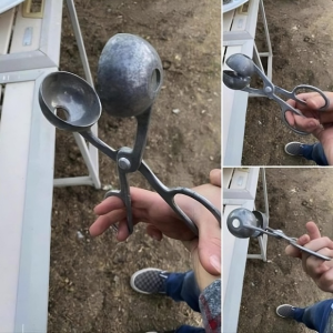 Do You Remember This? If You’re Old Enough, You Might Recognize It—But Do You Know the Fascinating Stories and History Behind It? Do You Remember This? If You’re Old Enough, You Might Recognize It—But Do You Know the Fascinating Stories and History Behind It?