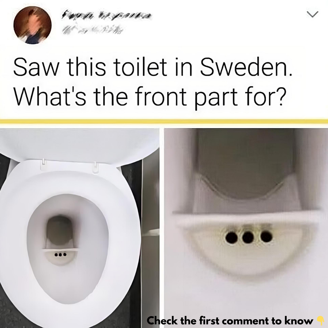 16 Photos Proving That Life in Sweden Is Nothing Like in the Rest of the World 16 Photos Proving That Life in Sweden Is Nothing Like in the Rest of the World