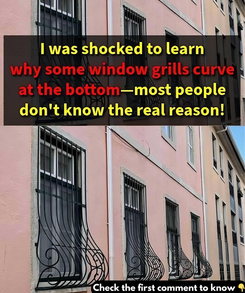 This Is Why Some Window Grills Have a Curve at the Bottom This Is Why Some Window Grills Have a Curve at the Bottom