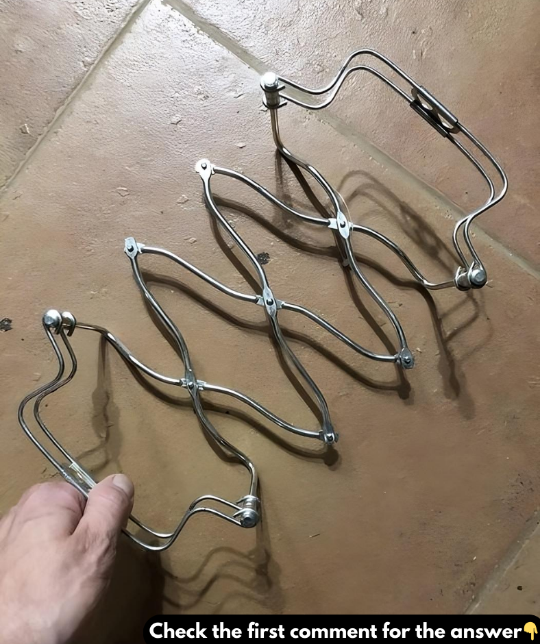 Found at a thrift store, this stainless steel accordion-like thing says “Made in Italy” and feels very durable. It compresses and extends Found at a thrift store, this stainless steel accordion-like thing says “Made in Italy” and feels very durable. It compresses and extends