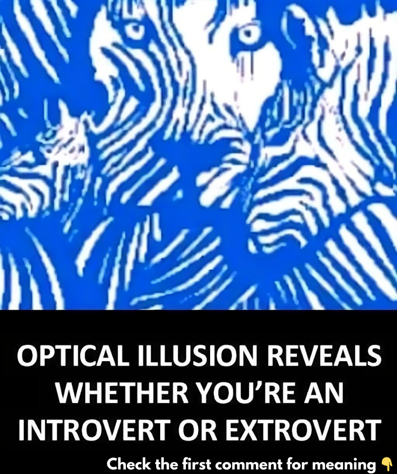 Optical illusion reveals whether you’re an introvert or extrovert Optical illusion reveals whether you’re an introvert or extrovert