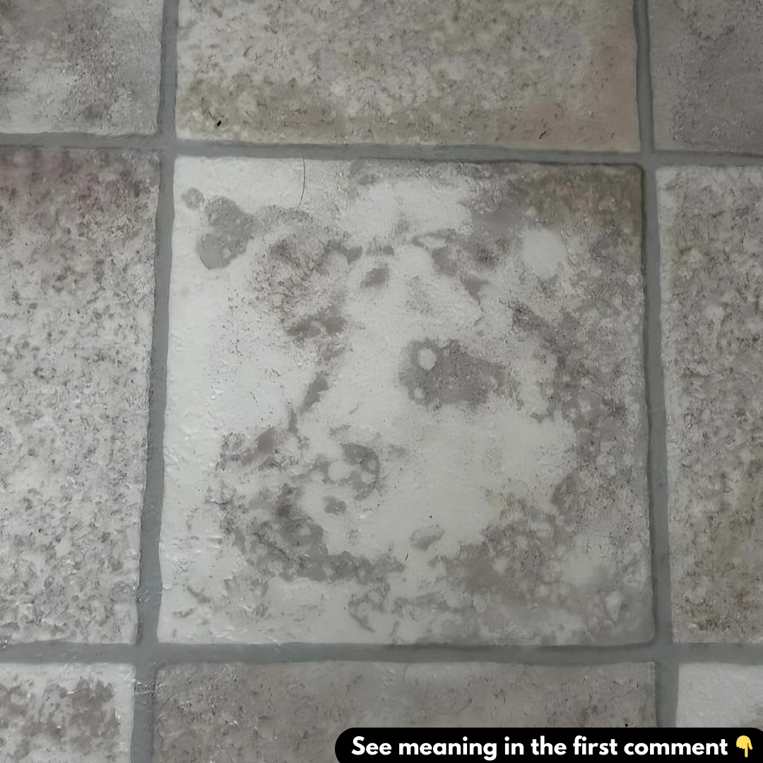 The Unexpected Art of Pareidolia: Finding Faces in Everyday Objects The Unexpected Art of Pareidolia: Finding Faces in Everyday Objects