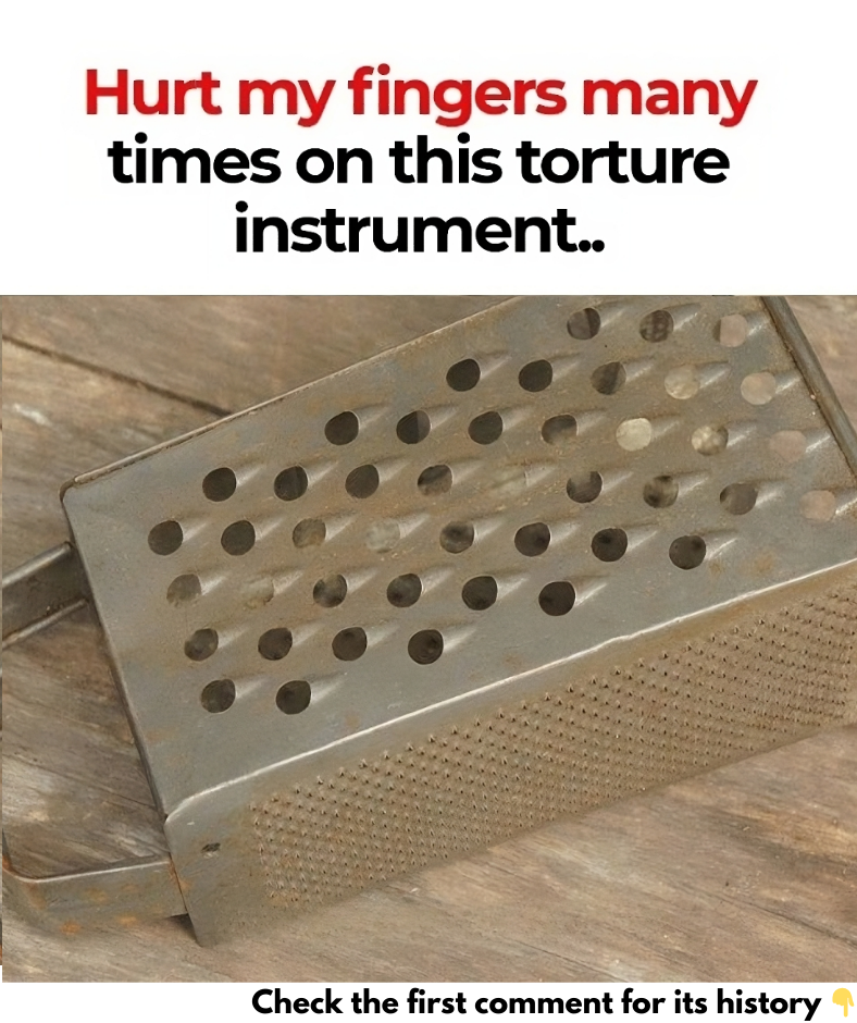 Cheese Grater Evolution: A Culinary Journey Through Time Cheese Grater Evolution: A Culinary Journey Through Time