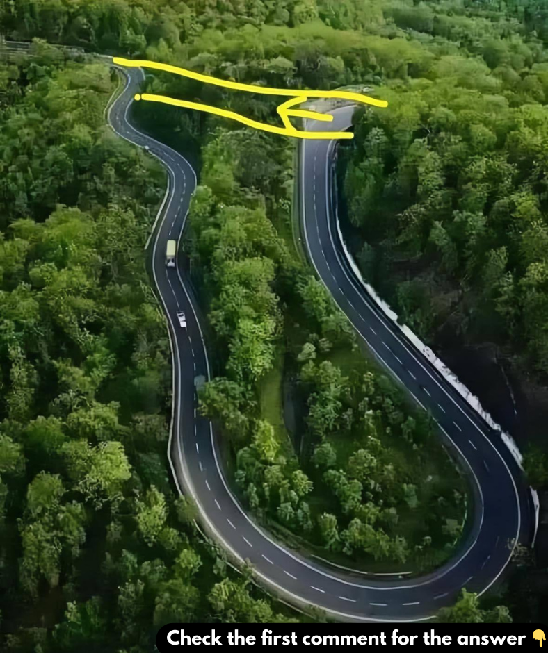 Unlock the Secrets of Curve Driving: How Winding Roads Keep You Safer on the Journey Unlock the Secrets of Curve Driving: How Winding Roads Keep You Safer on the Journey