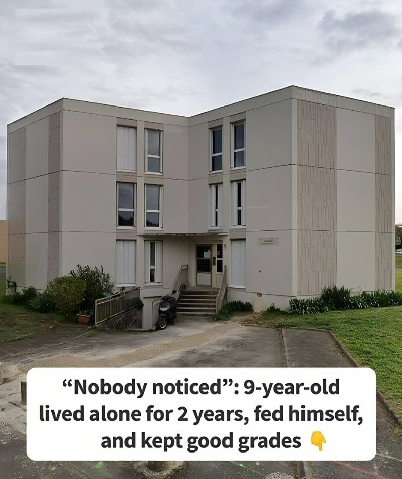 9-Year-Old Is Abandoned And Lives Alone For 2 Years, Feeding Himself And Going To School 9-Year-Old Is Abandoned And Lives Alone For 2 Years, Feeding Himself And Going To School