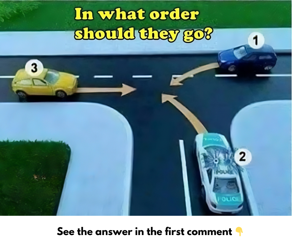 The Traffic Test You Didn’t Expect: Can You Solve This Right-of-Way Challenge? The Traffic Test You Didn’t Expect: Can You Solve This Right-of-Way Challenge?