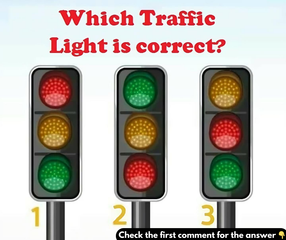 Which Traffic Light is Correct? Unraveling the Secrets Behind Traffic Signals Which Traffic Light is Correct? Unraveling the Secrets Behind Traffic Signals