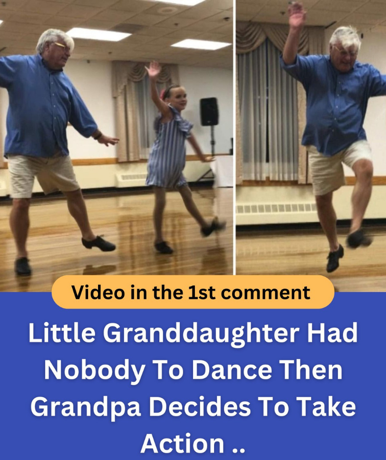 Granddaughter Left Without a Dance Partner Until Grandpa Steps In with a Heartwarming Move Granddaughter Left Without a Dance Partner Until Grandpa Steps In with a Heartwarming Move