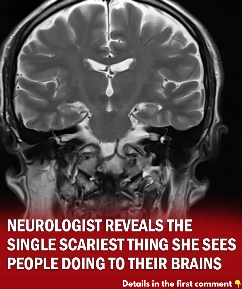Neurologist reveals the single scariest thing she sees people doing to their brains Neurologist reveals the single scariest thing she sees people doing to their brains