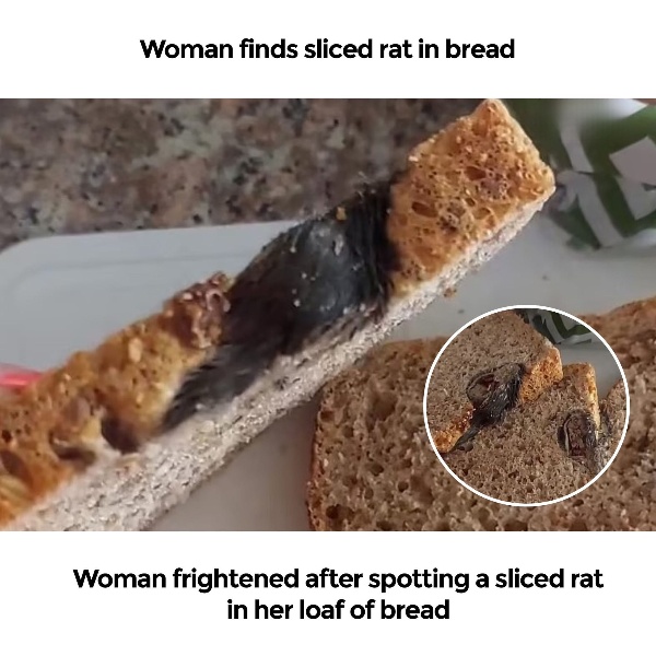 Woman frightened after spotting a sliced rat in her loaf of bread Woman frightened after spotting a sliced rat in her loaf of bread