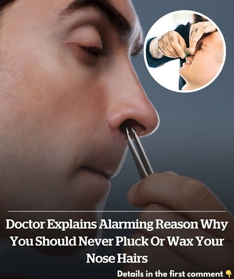 Doctor reveals the terrifying reason why you should never pluck or wax your nose hair Doctor reveals the terrifying reason why you should never pluck or wax your nose hair