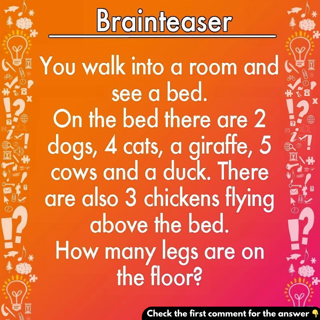 The Best Riddles That Can Confuse Anyone The Best Riddles That Can Confuse Anyone
