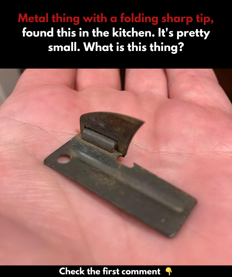Is it from today or the past? This vintage instrument has withstood the test of time! Is it from today or the past? This vintage instrument has withstood the test of time!