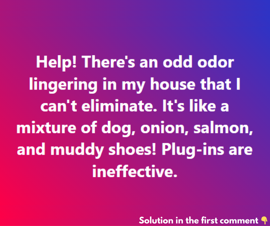 10 ways to have your home smell fresh, without using plug-ins 10 ways to have your home smell fresh, without using plug-ins
