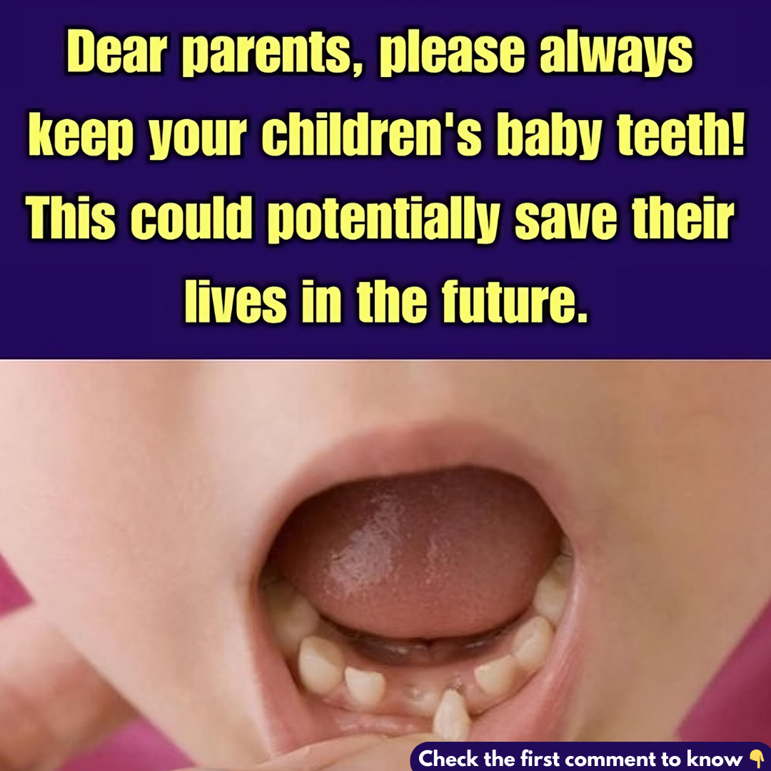 Scientists Are Encouraging Parents To Keep Their Kids’ Baby Teeth Scientists Are Encouraging Parents To Keep Their Kids’ Baby Teeth