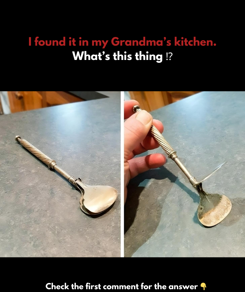 I discovered this in my grandma’s kitchen. What is it? I discovered this in my grandma’s kitchen. What is it?