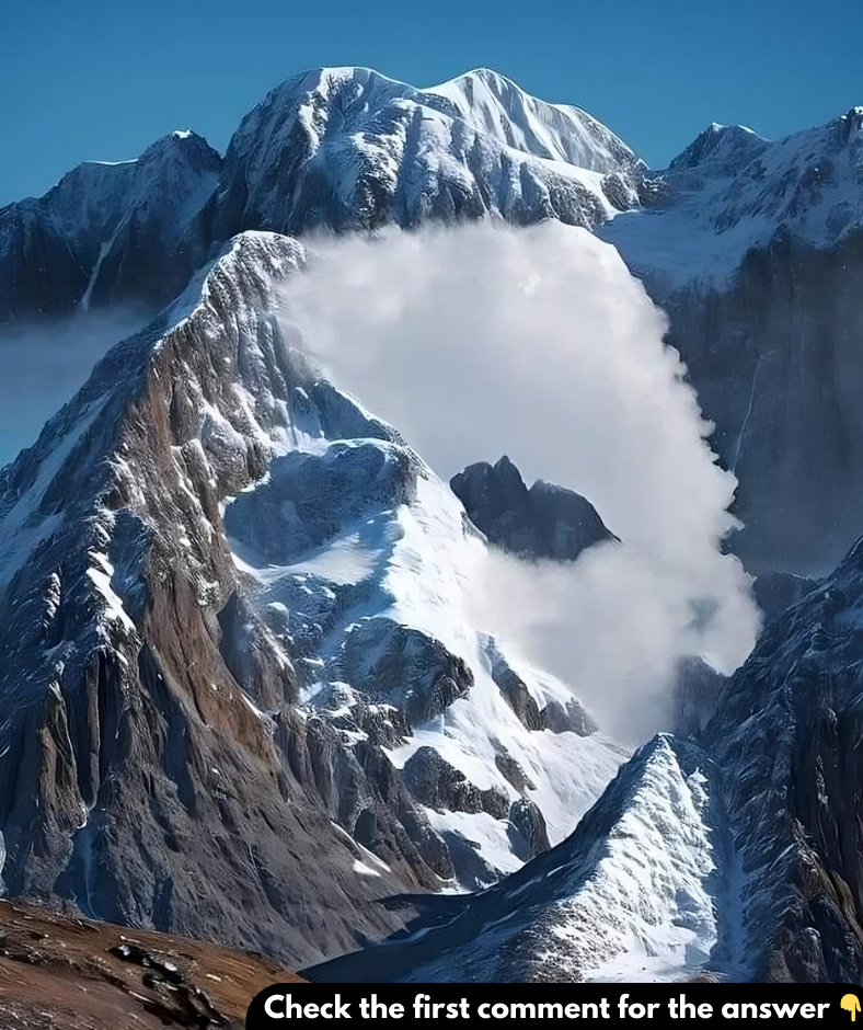 Do You See a Goat or an Eagle? Your Brain Might Be the Decider! Do You See a Goat or an Eagle? Your Brain Might Be the Decider!