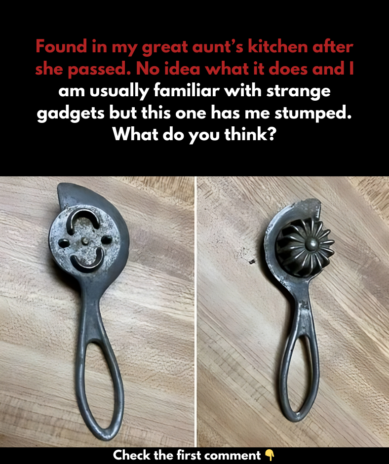 Discovered in my great aunt’s kitchen after she passed away. Discovered in my great aunt’s kitchen after she passed away.