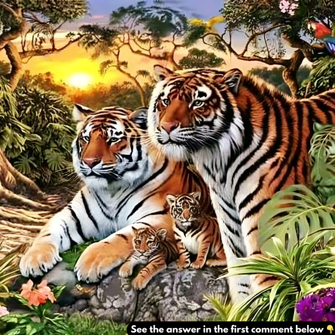 This Image Of Tigers Has Thousands Scratching Their Heads. How Many Do You See? This Image Of Tigers Has Thousands Scratching Their Heads. How Many Do You See?