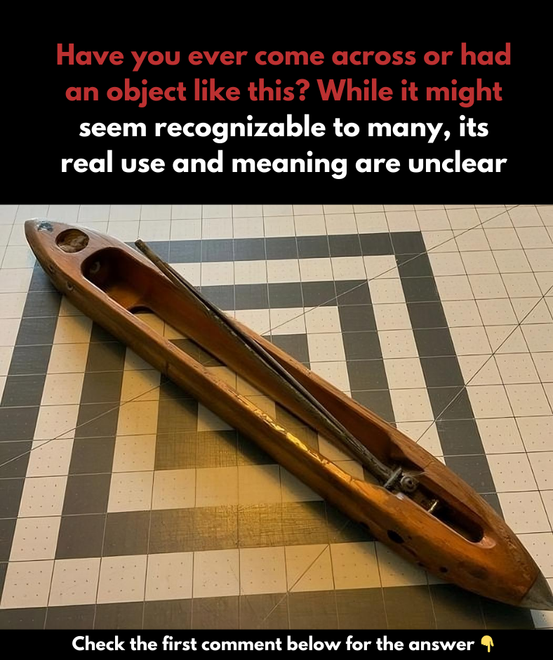 A necessary piece of equipment used in a distinct field, highly regarded by those who rely upon it. A necessary piece of equipment used in a distinct field, highly regarded by those who rely upon it.