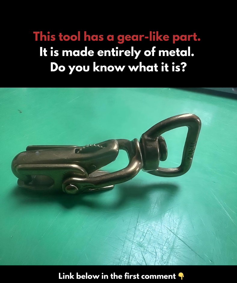 This musketon is made of metal and has a gear-like feature. This musketon is made of metal and has a gear-like feature.