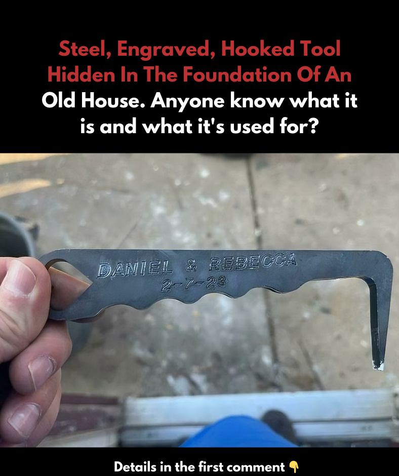 35 Times People Online Were Better Than Google At Identifying Unknown Objects 35 Times People Online Were Better Than Google At Identifying Unknown Objects