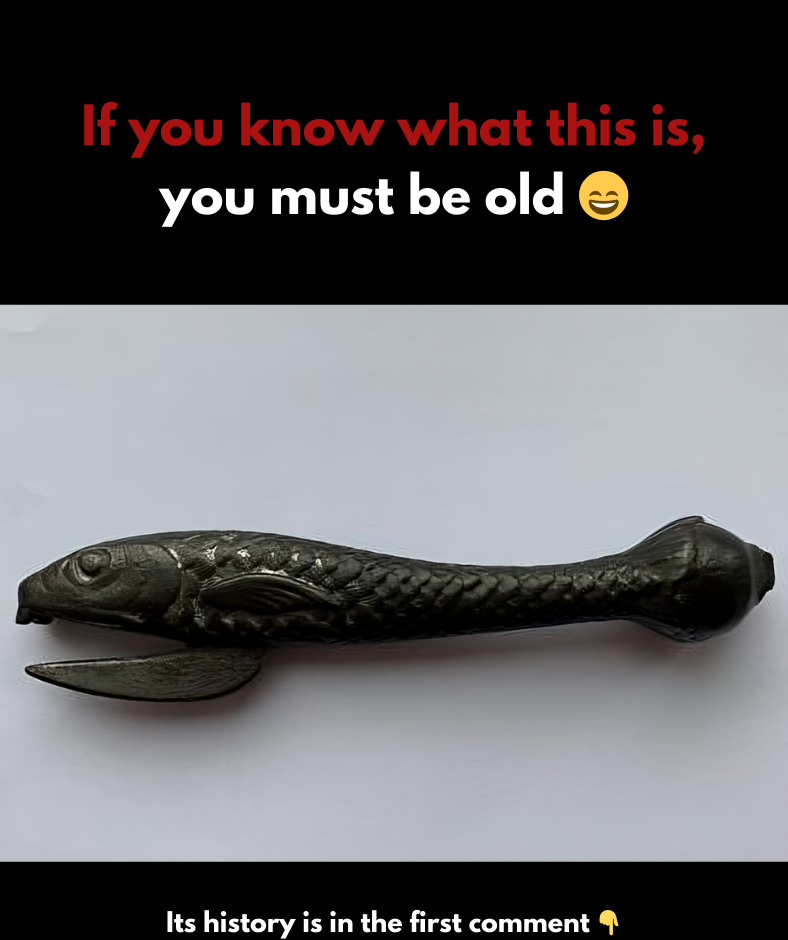 Unveiling the Hidden History: How the Can Opener Became a Kitchen Essential Unveiling the Hidden History: How the Can Opener Became a Kitchen Essential