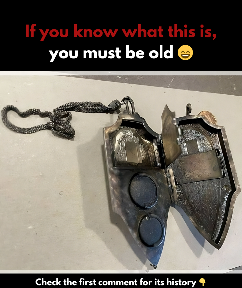 Revealing the Forgotten Accessory – Do You Know What It Is? Revealing the Forgotten Accessory – Do You Know What It Is?