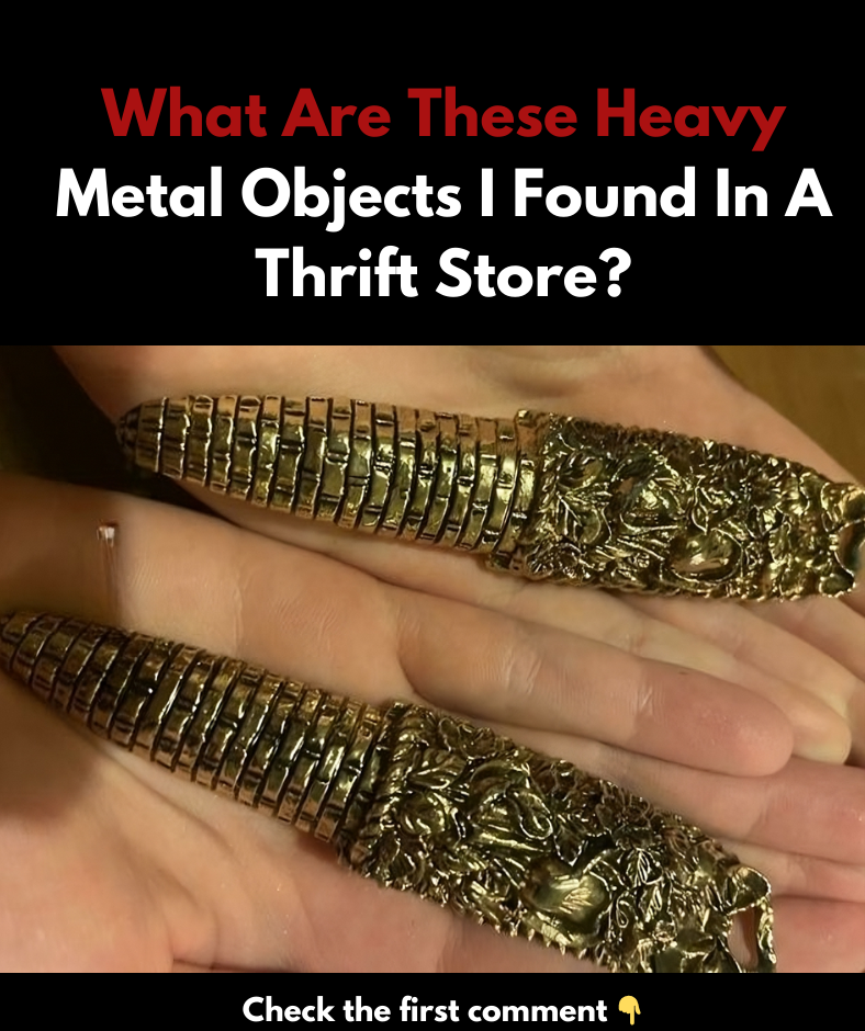 What are these dense metal items I discovered at a thrift shop? What are these dense metal items I discovered at a thrift shop?