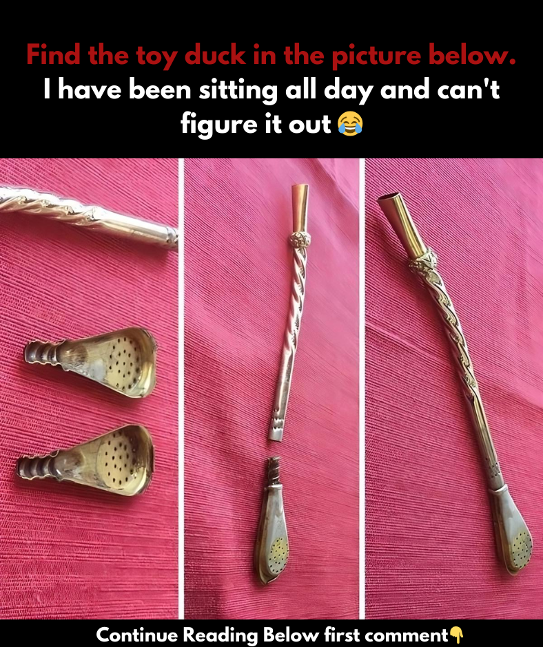 Found in a deep drawer in my Airbnb, what is this thing? Found in a deep drawer in my Airbnb, what is this thing?