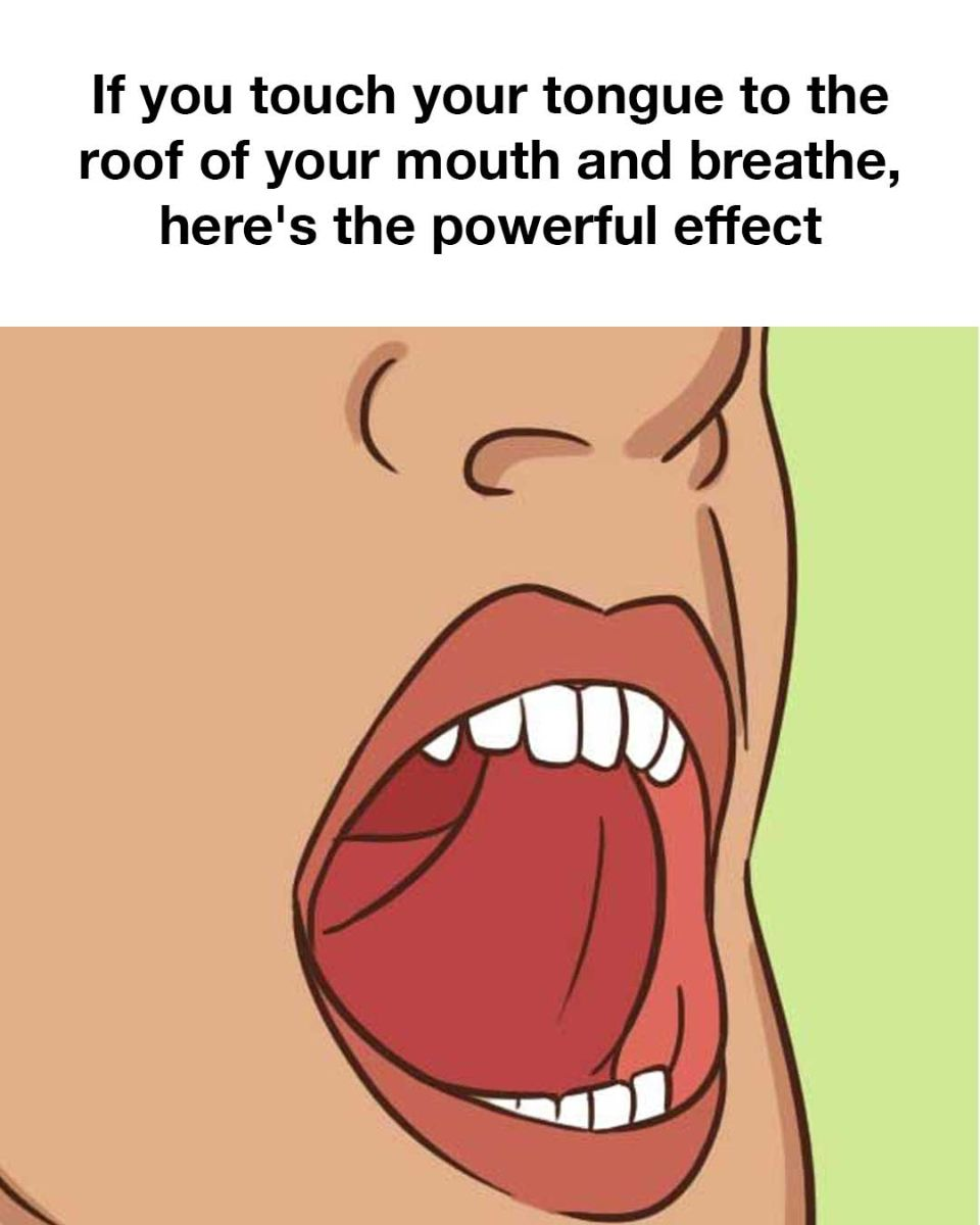 If you touch your tongue to the roof of your mouth and breathe, here’s the powerful effect If you touch your tongue to the roof of your mouth and breathe, here’s the powerful effect