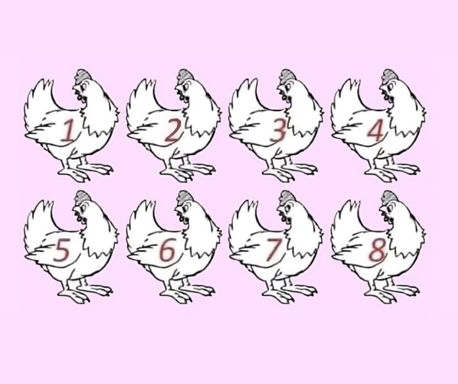 ARE YOU A GENIUS? NOBODY CAN DETERMINE WHICH CHICKEN IS DIFFERENT. ARE YOU A GENIUS? NOBODY CAN DETERMINE WHICH CHICKEN IS DIFFERENT.