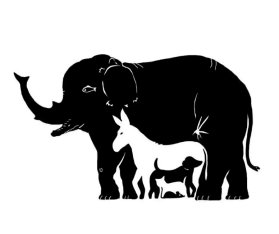 Can you spot the animals in these baffling puzzles? Can you spot the animals in these baffling puzzles?