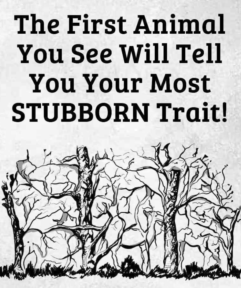 The first animal you see represents your most stubborn trait  The first animal you see represents your most stubborn trait