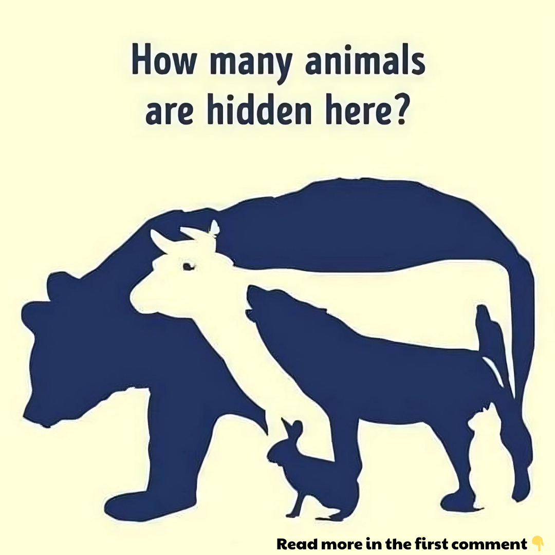 You could have the eye of a hawk if you can spot all the animals in this image. You could have the eye of a hawk if you can spot all the animals in this image.