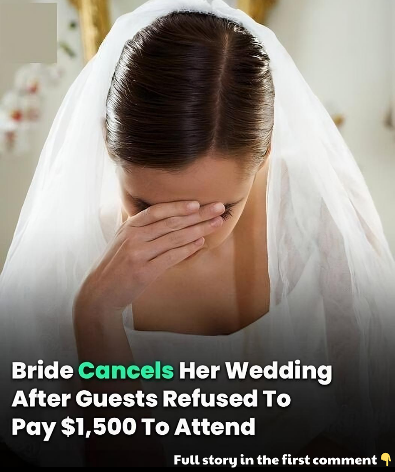 Bride Cancels Her Wedding After Guests Refused To Pay ,500 To Attend Bride Cancels Her Wedding After Guests Refused To Pay ,500 To Attend