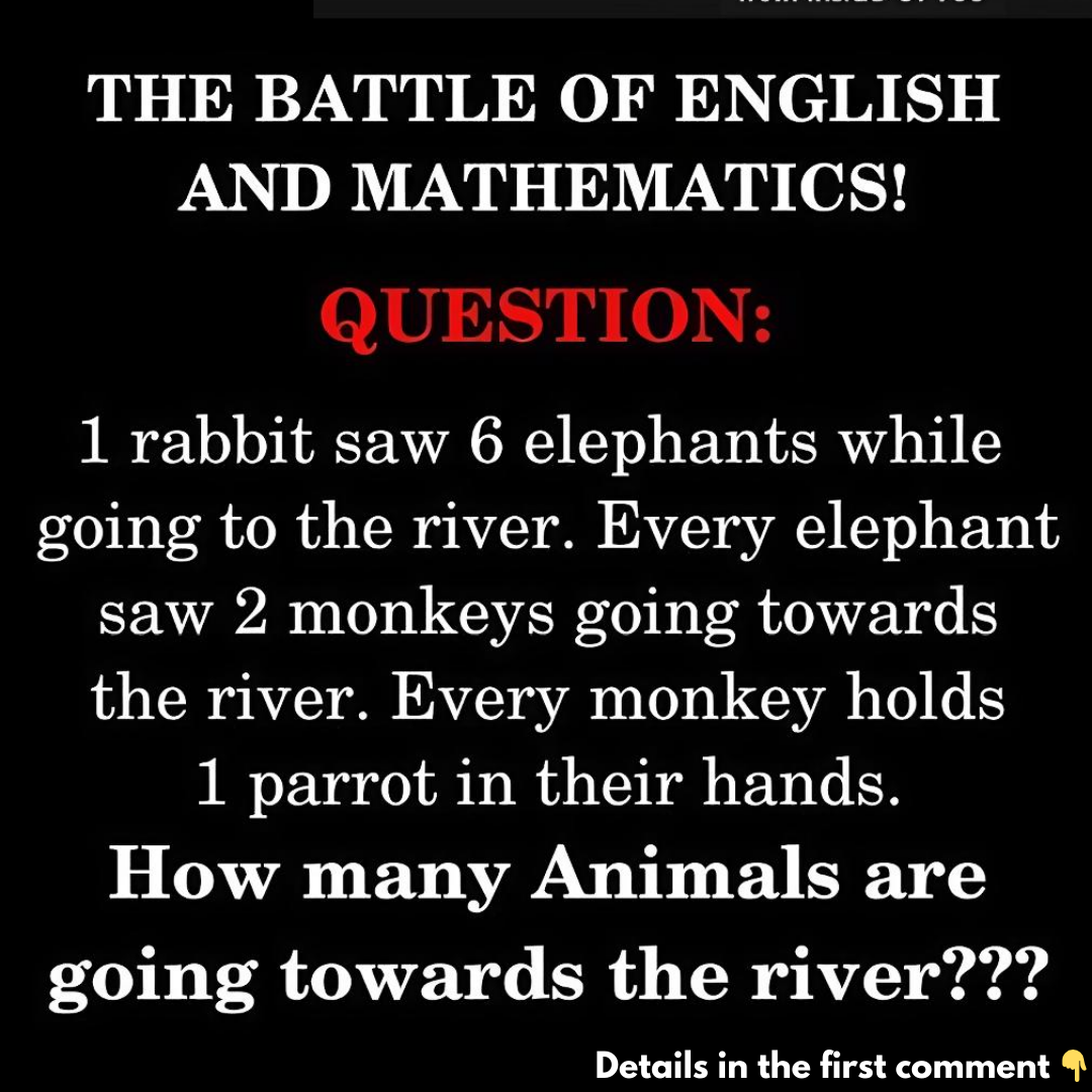 The Battle of English VS Math The Battle of English VS Math