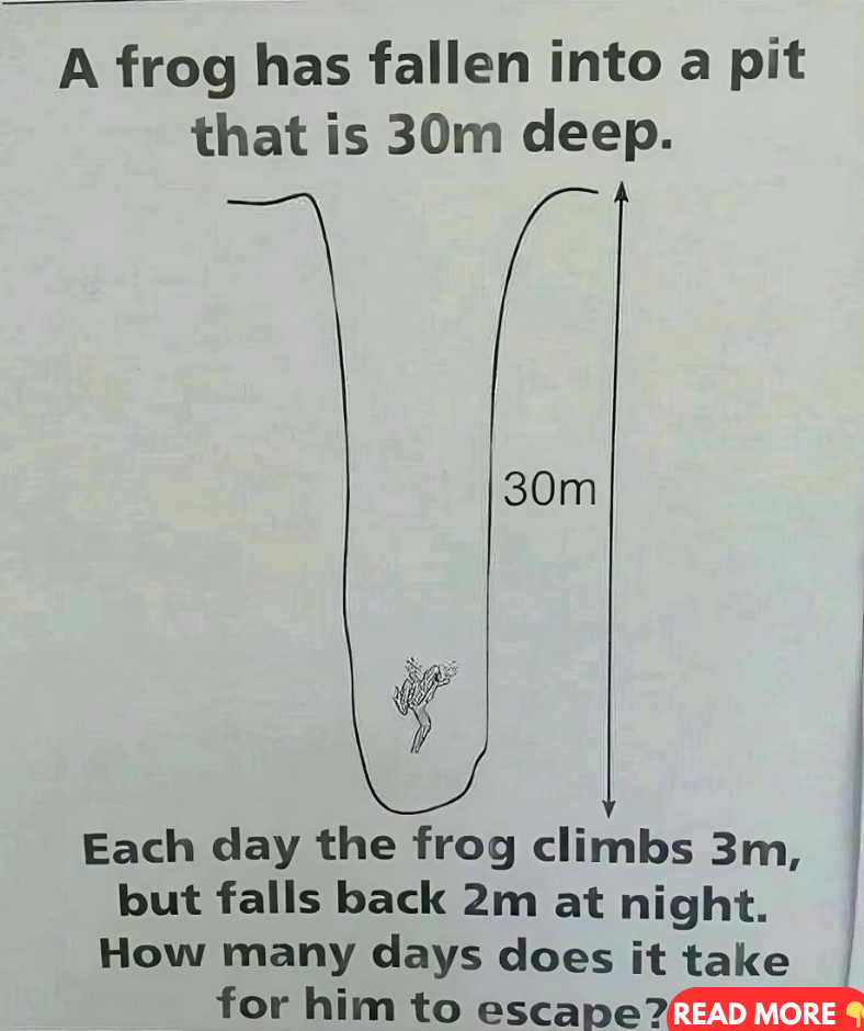 A Frog Has Fallen Into A Pit That Is 30m Deep A Frog Has Fallen Into A Pit That Is 30m Deep