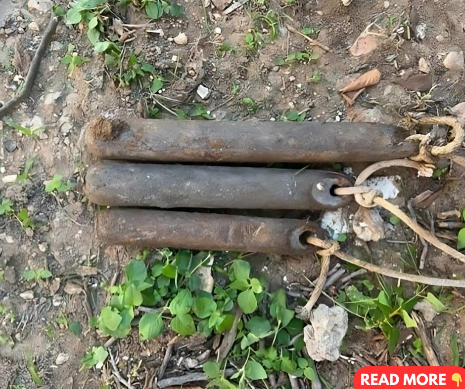 Forgotten elements can transform your space forever – do you know what they are? Forgotten elements can transform your space forever – do you know what they are?