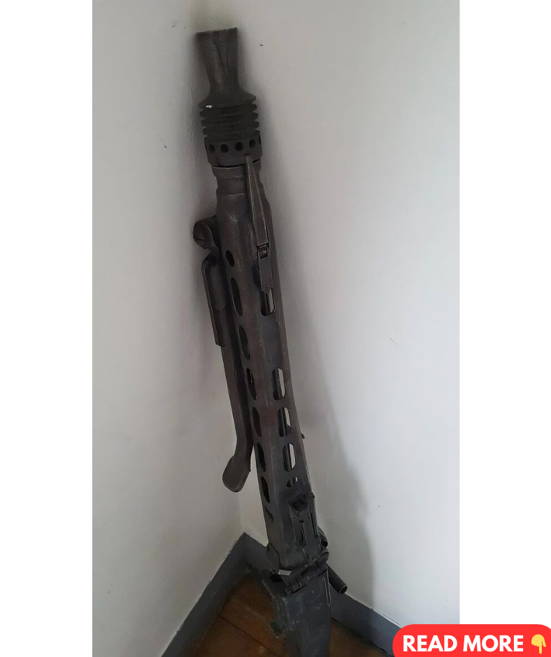 The Enigmatic Find The Enigmatic Find