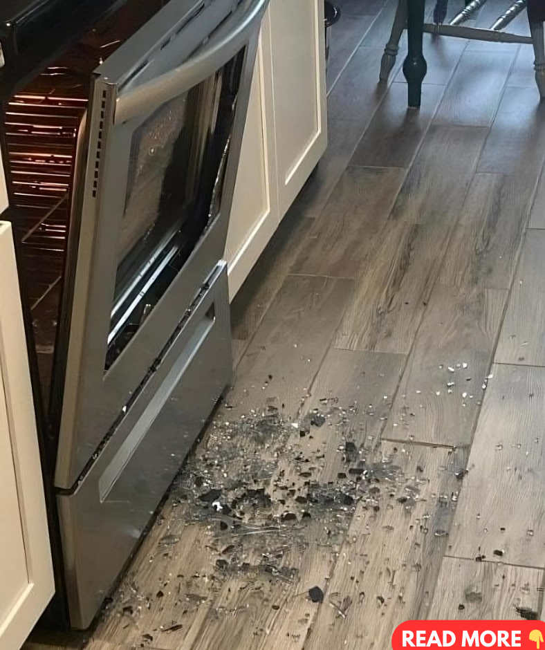 Why Do Oven Doors Shatter and How to Prevent It? Why Do Oven Doors Shatter and How to Prevent It?