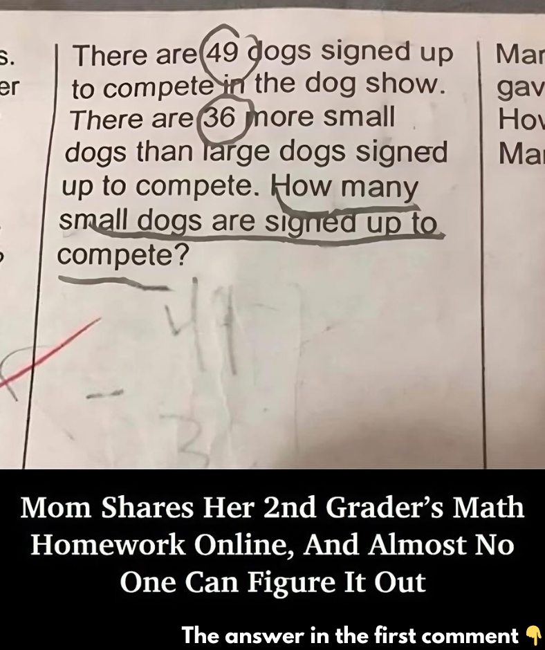 Mom Shares Her 2nd Grader’s Math Homework Online, And Almost No One Can Figure It Out – Why? Mom Shares Her 2nd Grader’s Math Homework Online, And Almost No One Can Figure It Out – Why?