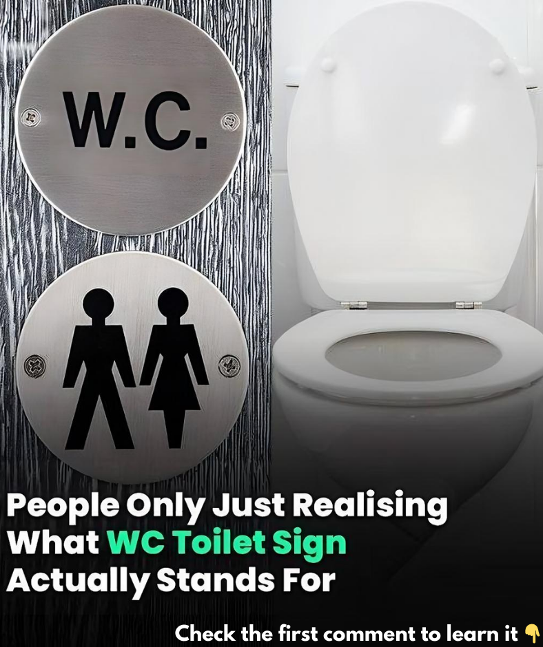People Are Only Just Realising What WC Toilet Sign Actually Stands For People Are Only Just Realising What WC Toilet Sign Actually Stands For