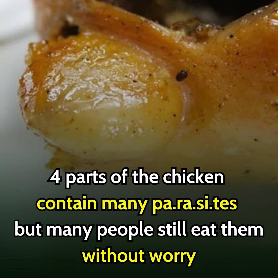 4 parts of the chicken contain many pa.ra.si.tes but many people still eat them without worry 4 parts of the chicken contain many pa.ra.si.tes but many people still eat them without worry