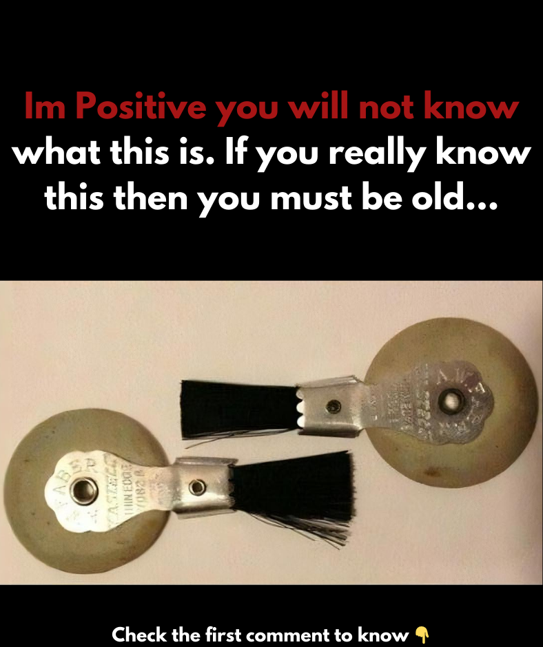 The Forgotten Tools of Typing: Typewriter Eraser Brushes The Forgotten Tools of Typing: Typewriter Eraser Brushes