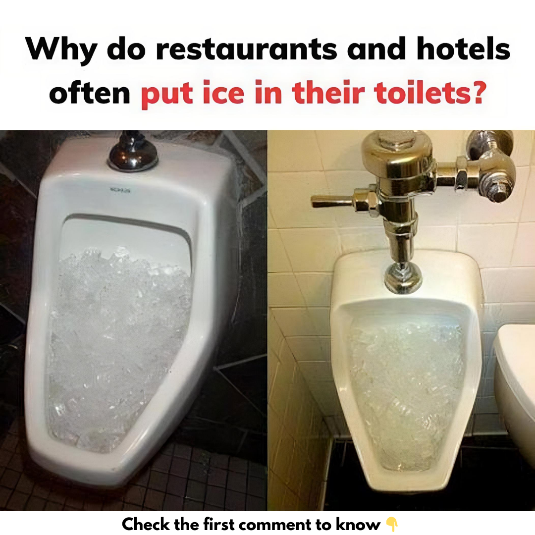 Restaurants and hotels often put ice in their toilets – What You Should Know! Restaurants and hotels often put ice in their toilets – What You Should Know!