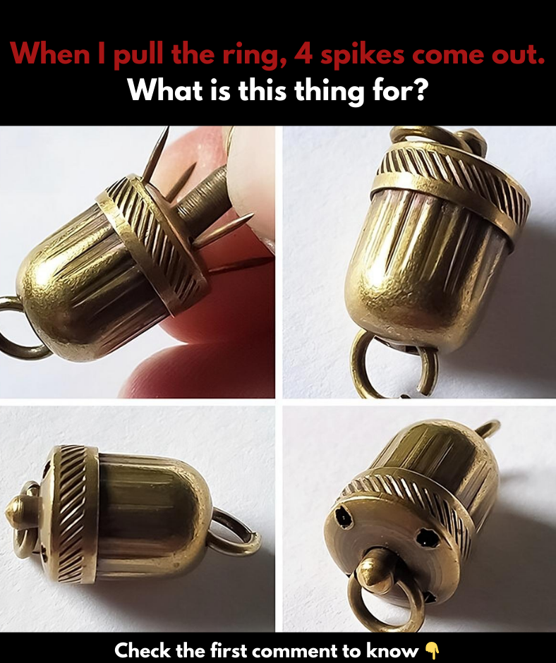 17 Strange Objects Found by Internet Users Whose Function No One Could Explain 17 Strange Objects Found by Internet Users Whose Function No One Could Explain