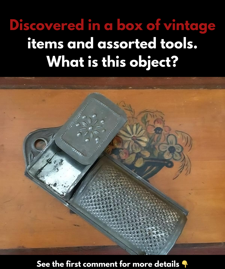 Hidden in a box filled with random tools and antiques. What on earth is this? Hidden in a box filled with random tools and antiques. What on earth is this?