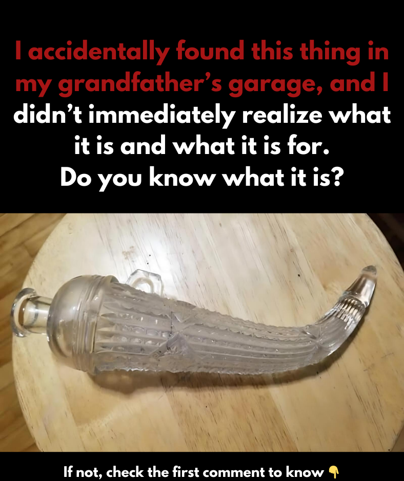 I discovered this item by chance in my grandfather’s garage, but I didn’t recognize its identity or use right away. Do you have any idea what it is? If not, you can learn the correct answer I discovered this item by chance in my grandfather’s garage, but I didn’t recognize its identity or use right away. Do you have any idea what it is? If not, you can learn the correct answer